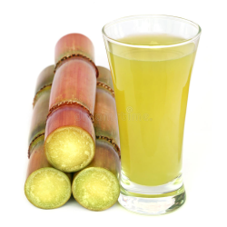 Sugarcane Juice 5L